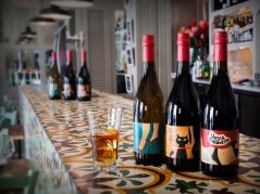 Vinos-nuevos-Sanchez-Romate-foto-Sanchez-Romate